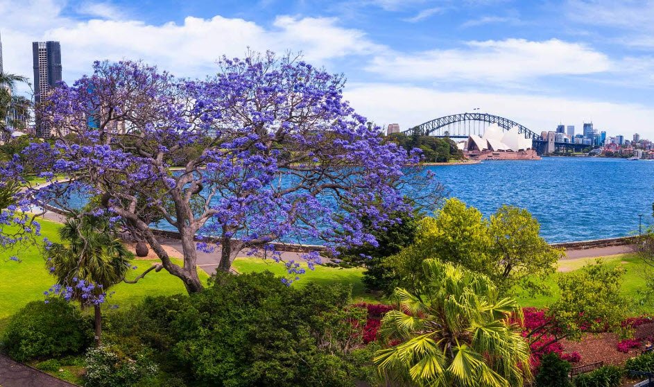 Royal Botanic Garden Sydney, Australia